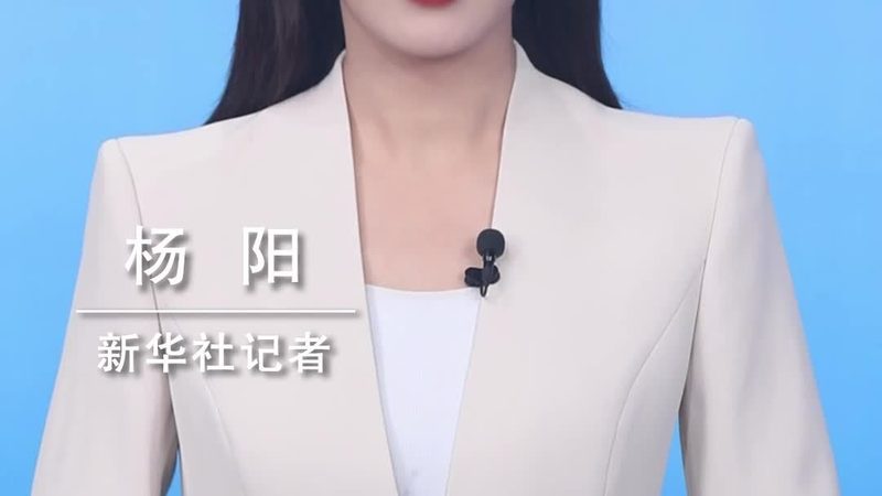 数字化案例分享：揭秘企业IT决策者的选择之道
